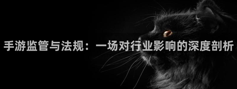 28大神加拿大在线预测：手游监管与法规：一场对行业影响的深度