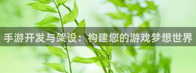 非凡游戏app苹果版：手游开发与架设：构建您的游戏梦想世界