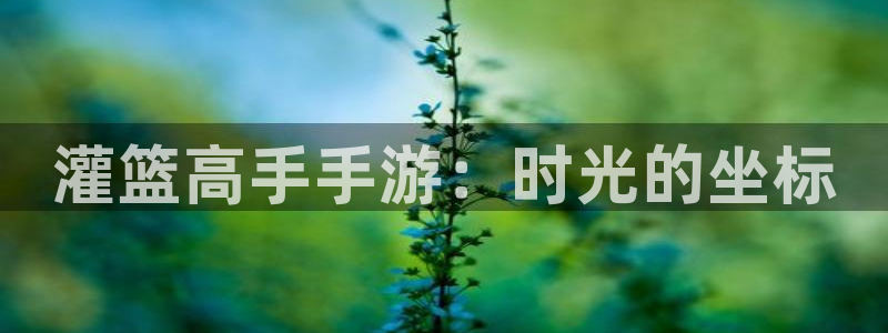 28大神苹果在线安装：灌篮高手手游：时光的坐标