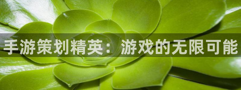 pc非凡游戏app官网下载：手游策划精英：游戏的无限可能