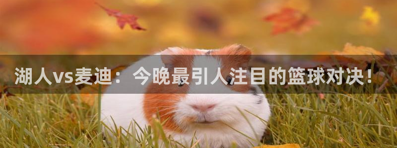 919直播体育在线直播在线看：湖人vs麦迪：今晚最引人注目的篮球对决！