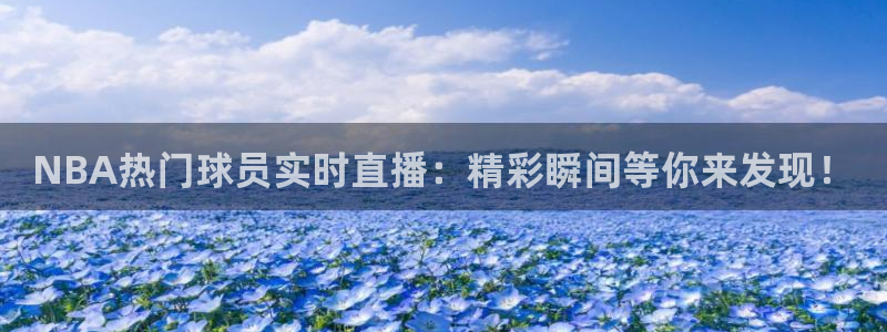 919足球直播 01篮球直播