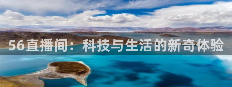 足球直播919
