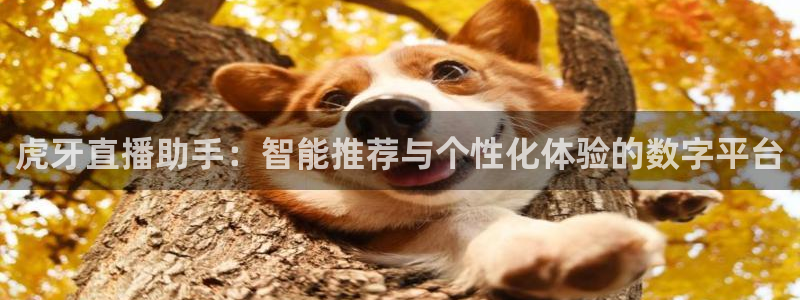 919体育直播高清在线观看