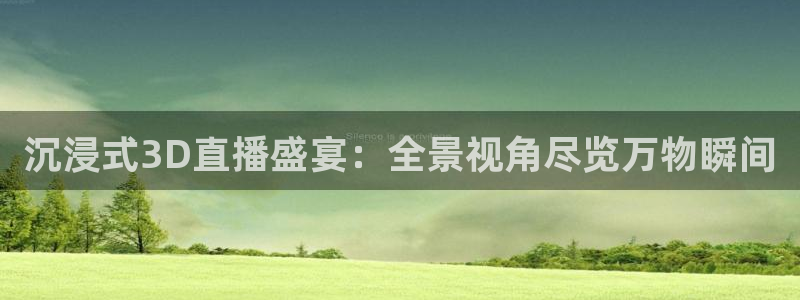 919球赛直播：沉浸式3D直播盛宴：全景视角尽览万物瞬间