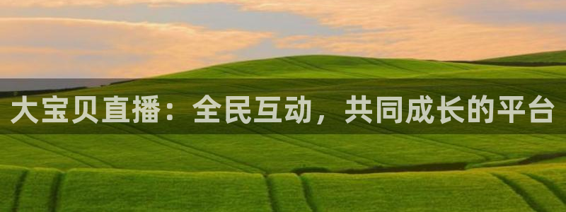 919直播间