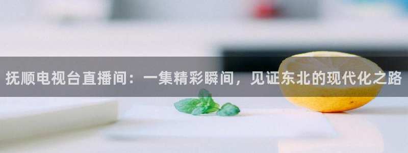 919直播看球 篮球比赛：抚顺电视台直播间：一集精彩瞬间，见证东北的现代化之路