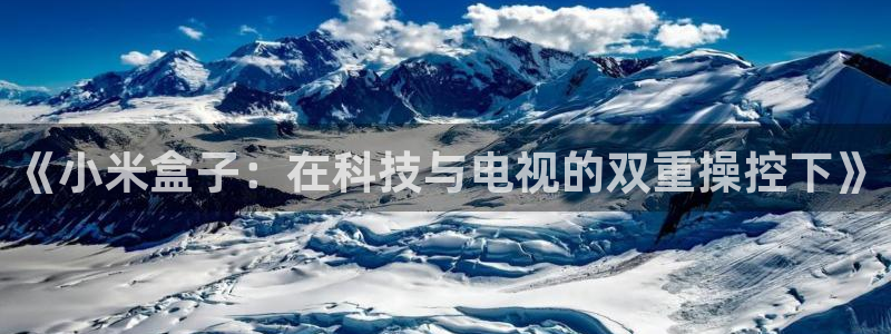 nba直播在线观看919：《小米盒子：在科技与电视的双重操控下》