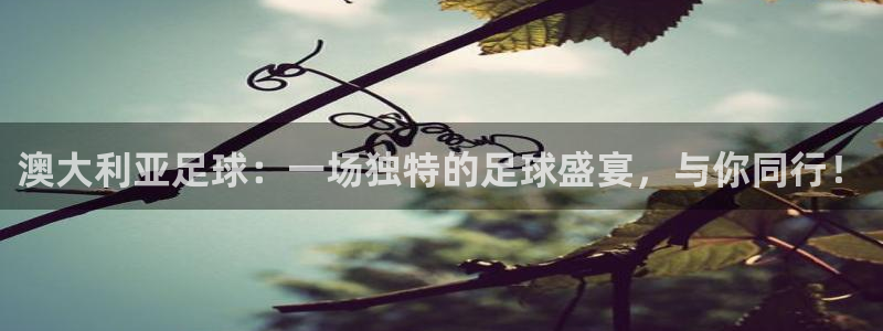 nba直播在线观看919：澳大利亚足球：一场独特的足球盛宴，与你同行！