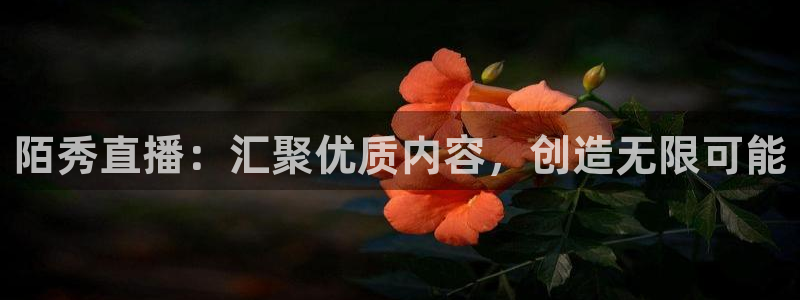 919直播在线看球：陌秀直播：汇聚优质内容，创造无限可能