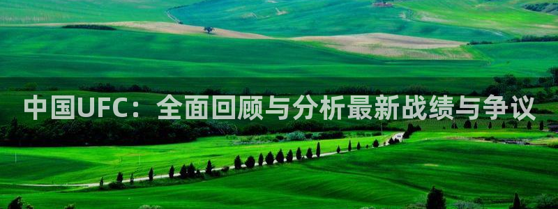 919直播吧体育：中国UFC：全面回顾与分析最新战绩与争议