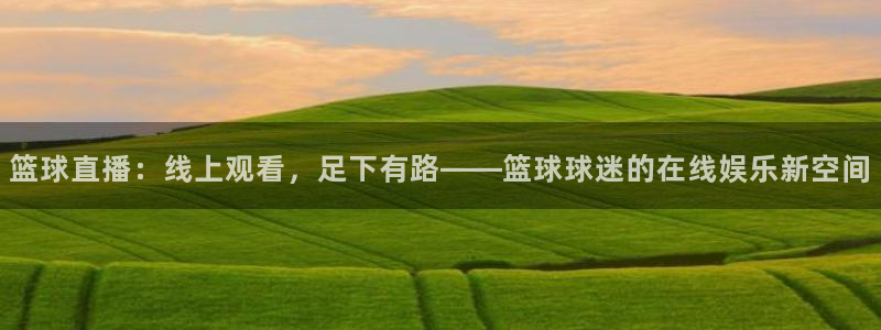 足球直播919：篮球直播：线上观看，足下有路——篮球球迷的在线娱乐新空间