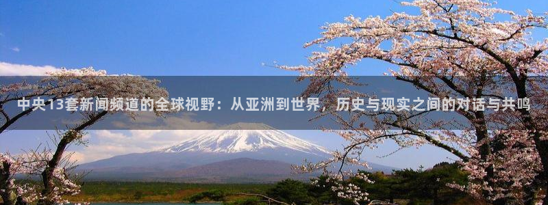 919体育nba直播安卓版：中央13套新闻频道的全球视野：从亚洲到世界，历史与现实之间的对话与共鸣