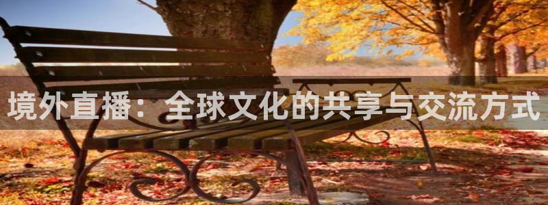919看球直播app：境外直播：全球文化的共享与交流方式