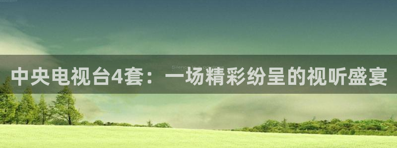 919nba直播篮球比赛：中央电视台4套：一场精彩纷呈的视听盛宴