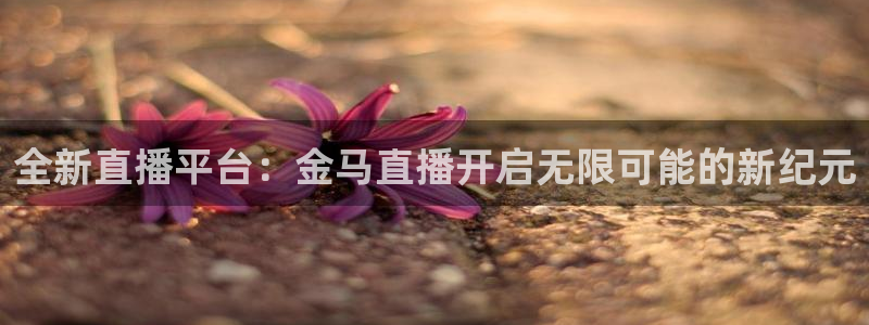 919直播平台：全新直播平台：金马直播开启无限可能的新纪元