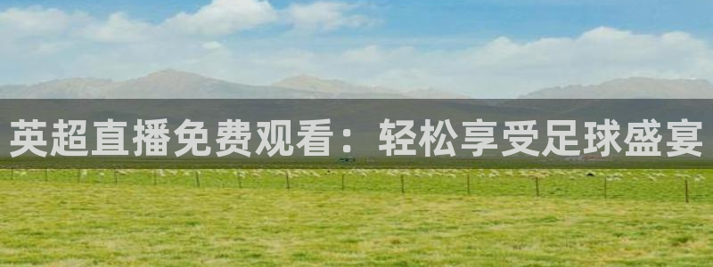 919 直播：英超直播免费观看：轻松享受足球盛宴